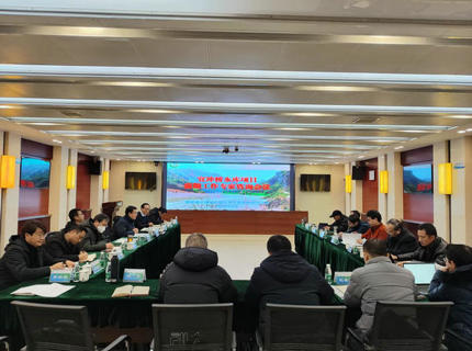 公司召開宜沖橋水庫項(xiàng)目前期工作專家咨詢會議