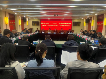 澧水公司召開(kāi)“十五五”發(fā)展戰(zhàn)略規(guī)劃暨進(jìn)一步深化改革工作啟動(dòng)會(huì)