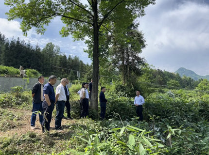 徐磊帶隊(duì)調(diào)研桑植縣蘆溪村鄉(xiāng)村振興工作