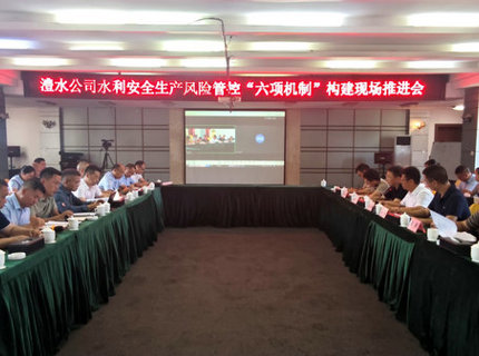 澧水公司召開水利安全生產風險管控“六項機制”構建現(xiàn)場推進會
