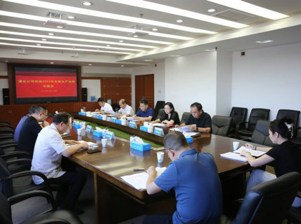澧水公司黨組召開2024年全面從嚴(yán)治黨專題會議