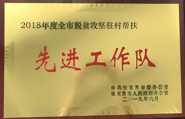 2018年度全市脫貧攻堅(jiān)駐村幫扶先進(jìn)工作隊(duì)
