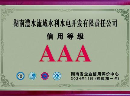喜報(bào)！公司連續(xù)9年保持企業(yè)信用等級(jí)AAA級(jí)企業(yè)