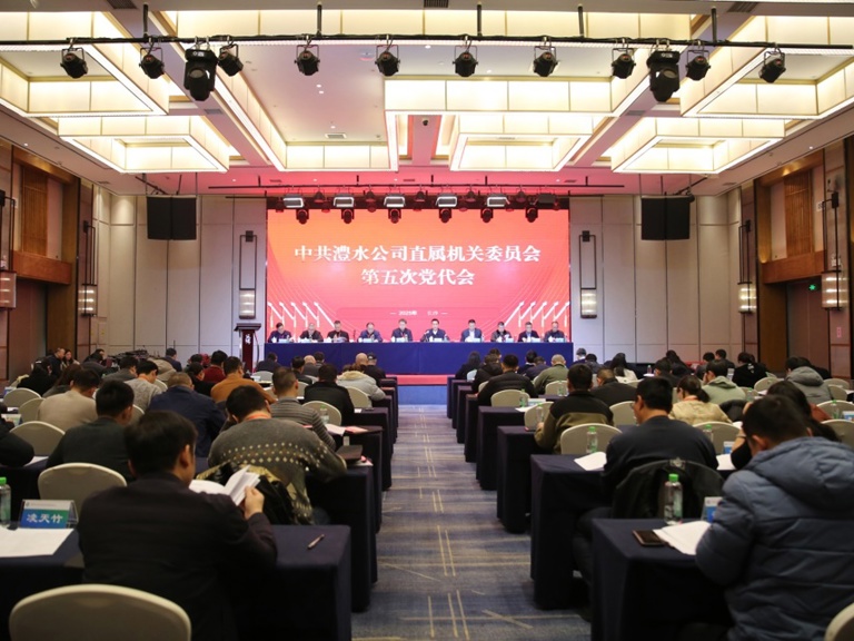 中共澧水公司直屬機(jī)關(guān)委員會(huì)第五次黨員代表大會(huì)召開