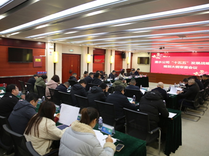 澧水公司召開(kāi)“十五五”發(fā)展戰(zhàn)略規(guī)劃大綱審查會(huì)